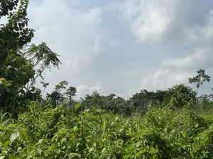 Over 100 Acres of Farm Land for Sale at Senchi