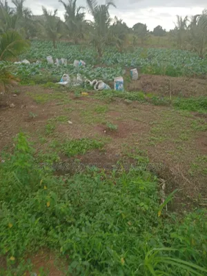 Alpha Properties Estate Land for Sale at Kasoa Akraman