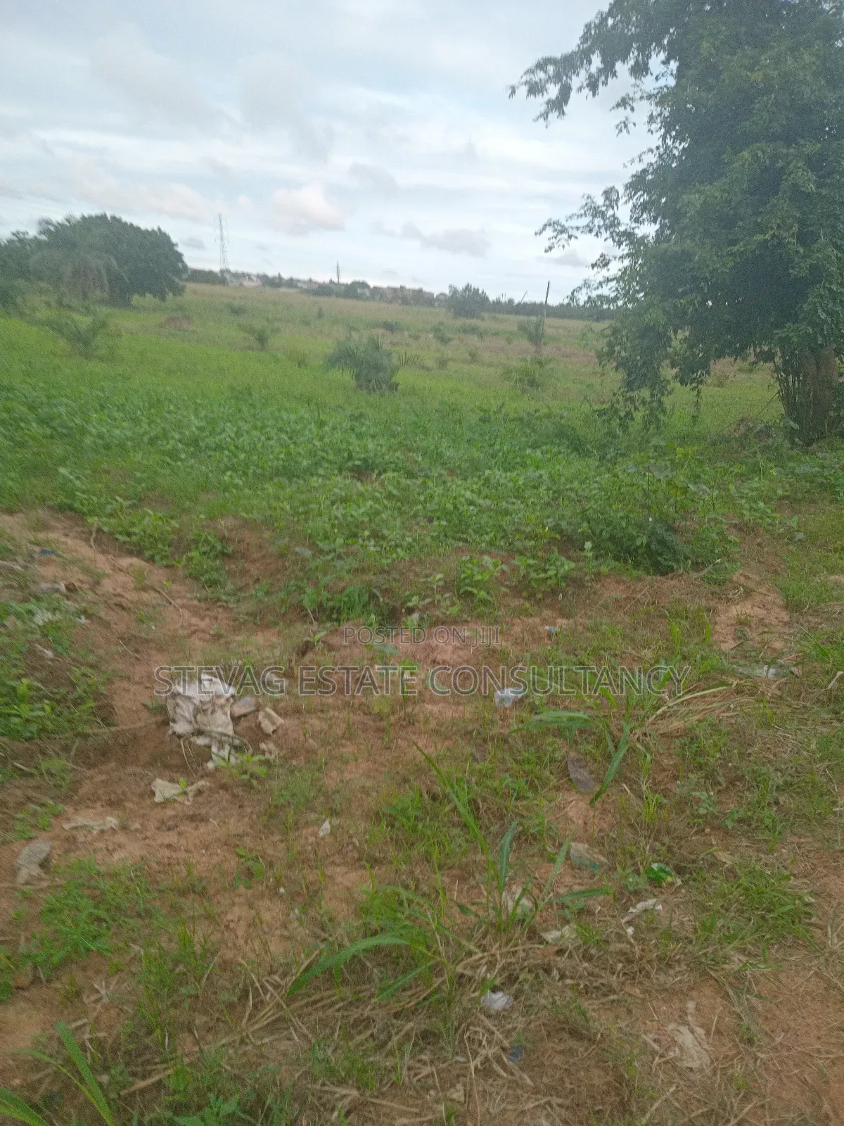 Alpha Properties Estate Land for Sale at Kasoa Akraman