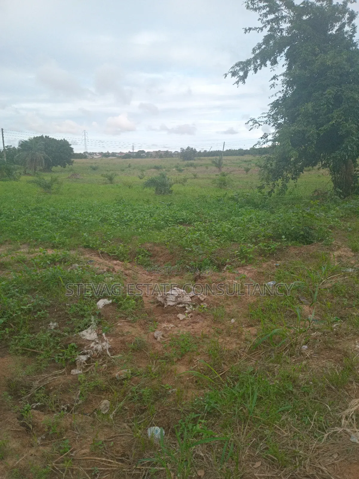 Alpha Properties Estate Land for Sale at Kasoa Akraman