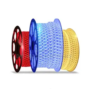 Rope Light 50m (3eye)
