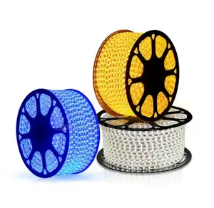 Rope Light 50m (3eye)