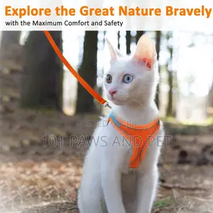 Cat Harness