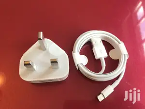 Apple iPhone Charger