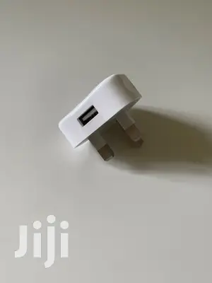Apple iPhone Charger