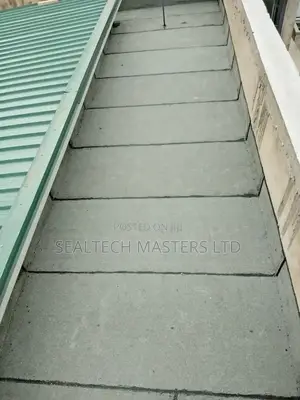 Roof Gutter/Secret Roof Waterproofing