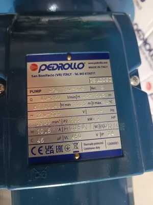 Pedrollo 2hp Stainless Water Pump