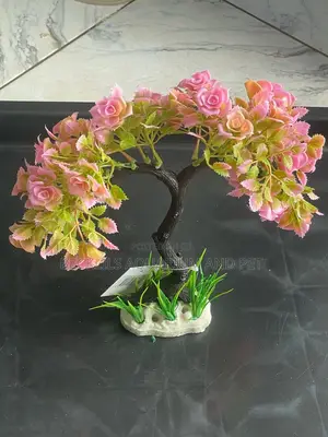 Aquarium Thick Plant