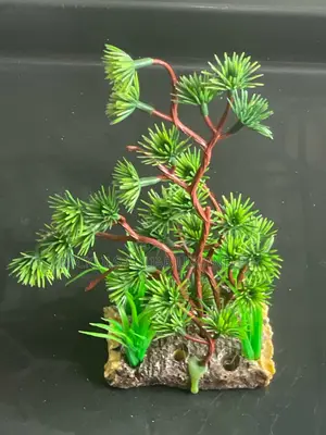 Thick Stand Aquarium Plant