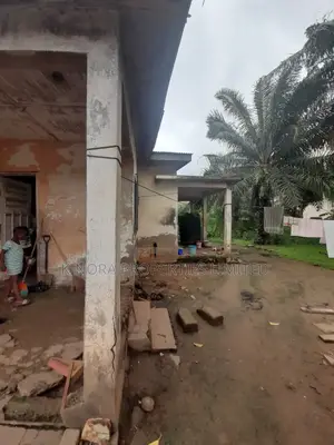 70×100 Registered Plot of Land for Sale at Hatso Palace