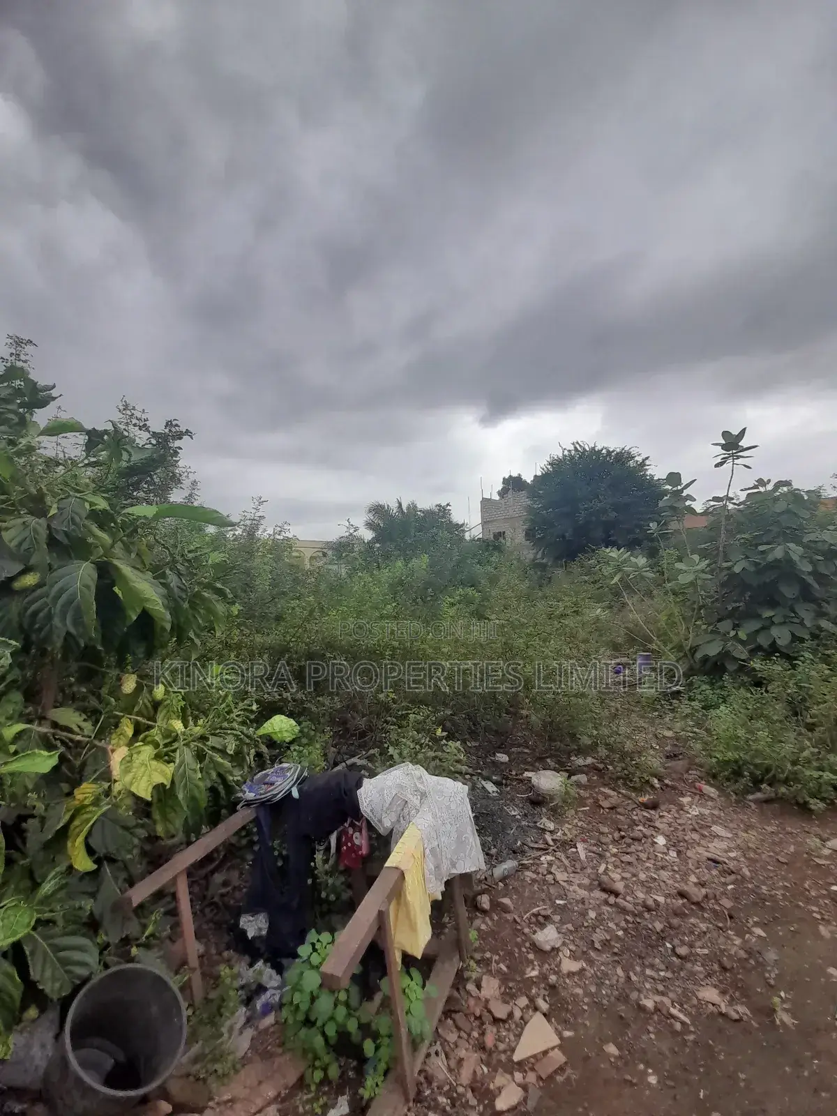 Registered Land for Sale at Hatso Super Market