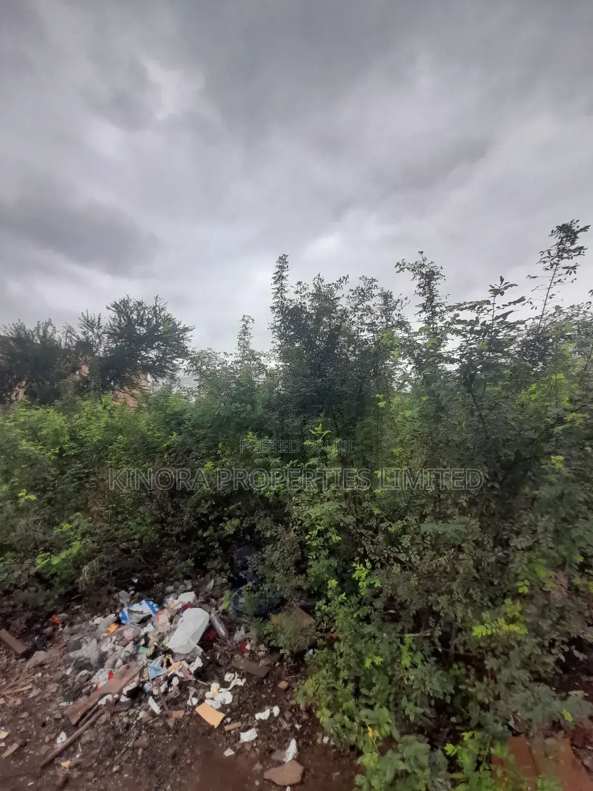 Registered Land for Sale at Hatso Super Market