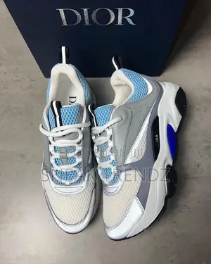Dior Homme Cd Greywhite N Blue