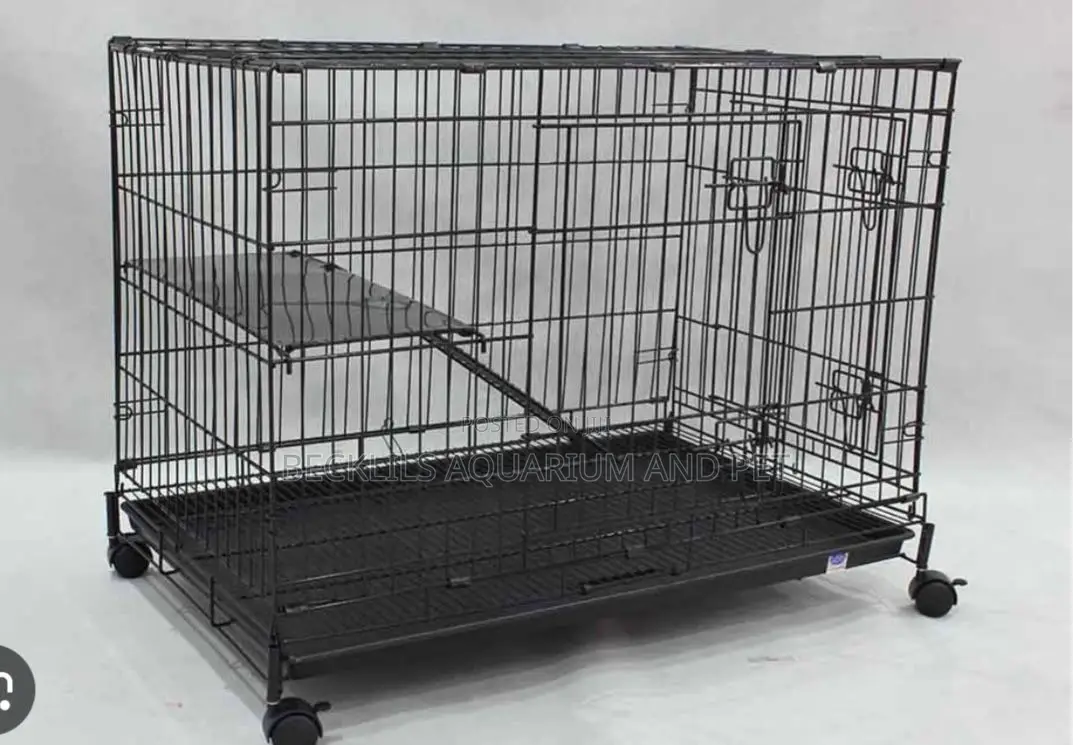 Cat Still Cage C377