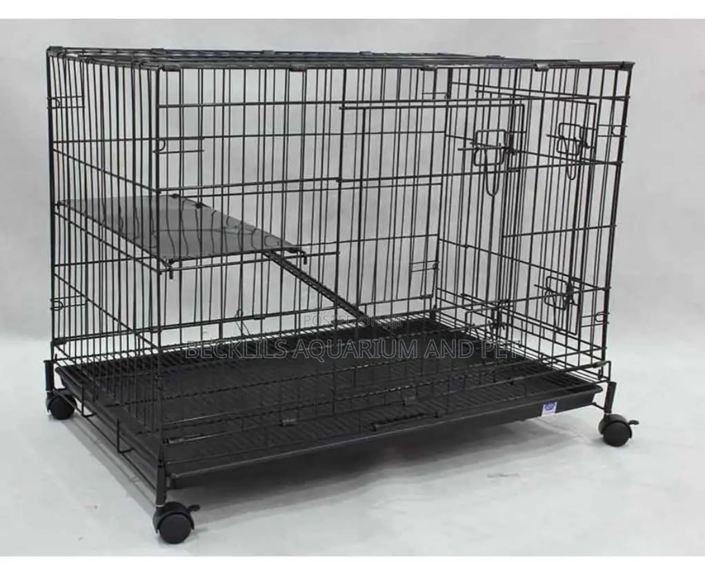 Cat Still Cage C377