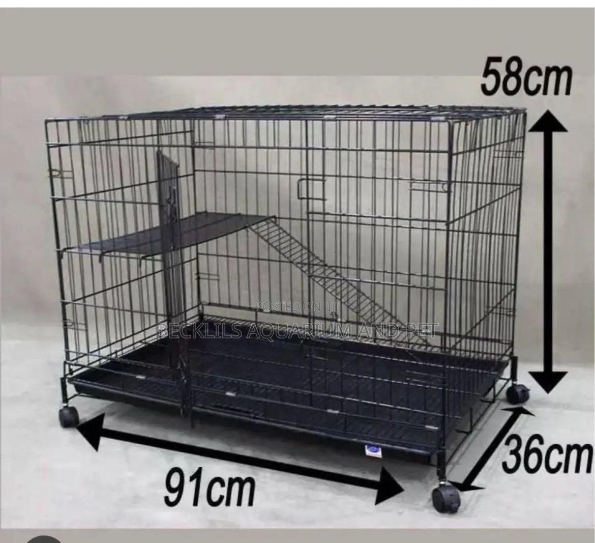 Cat Still Cage C377