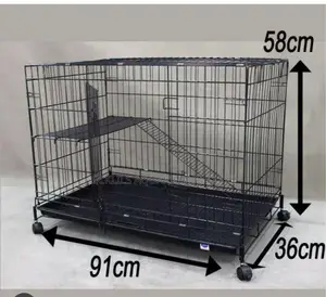 Cat Still Cage C377