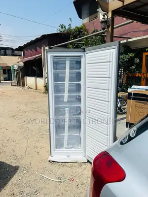 Upright Standing Freezer Nasco 260 Liters Capacity Nasddi-33