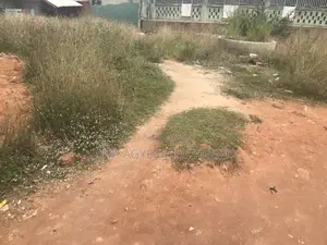Half Plot for Sale
