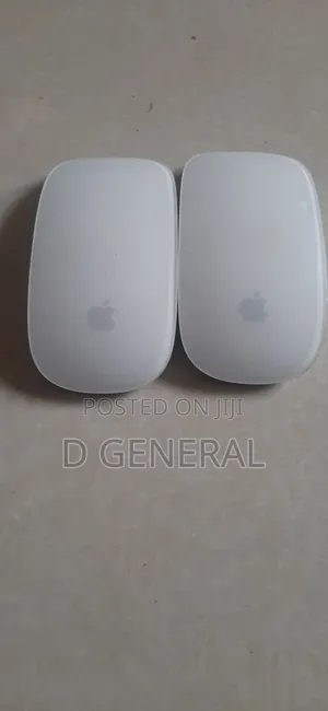 Magic Mouse 1