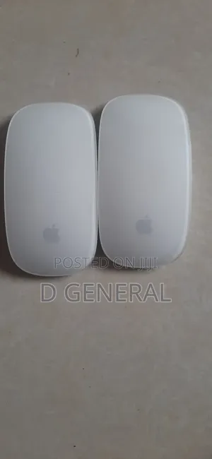 Magic Mouse 1