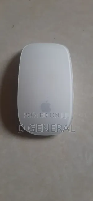Magic Mouse 1