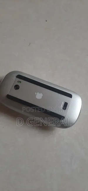 Magic Mouse 1