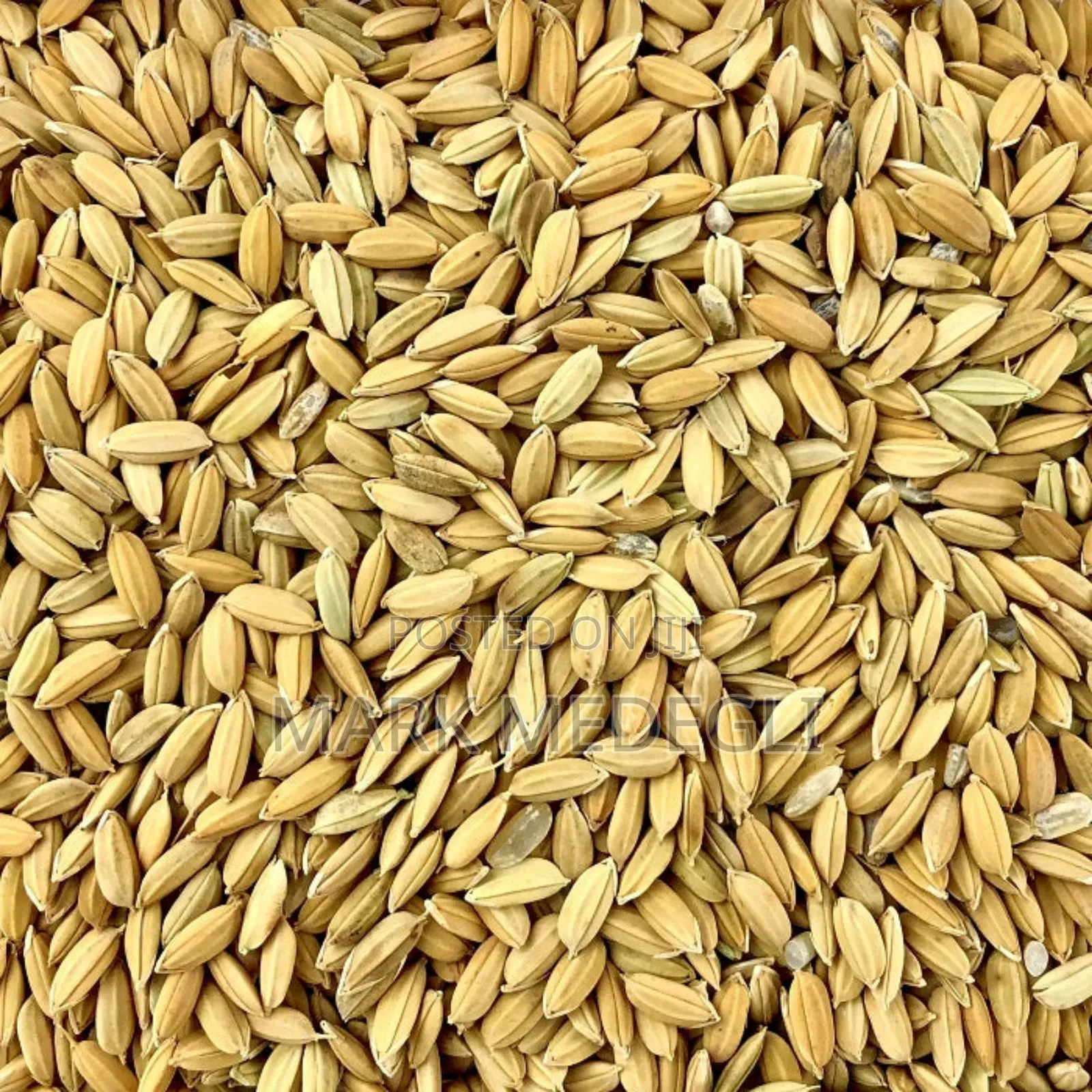 Paddy Available in Volta Ghana