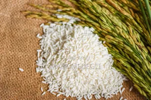 Paddy Available in Volta Ghana
