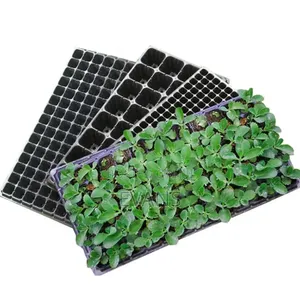 Seed Trays