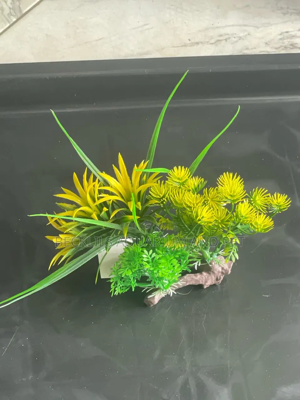 Artificial Colorful Plant B1b2