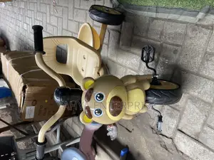 Moto Tricycle