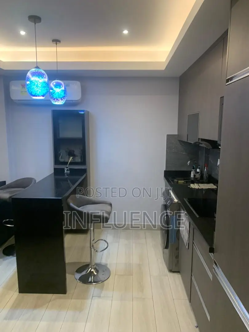 Furnished 1bdrm Apartment in American House Area, East Legon for rent