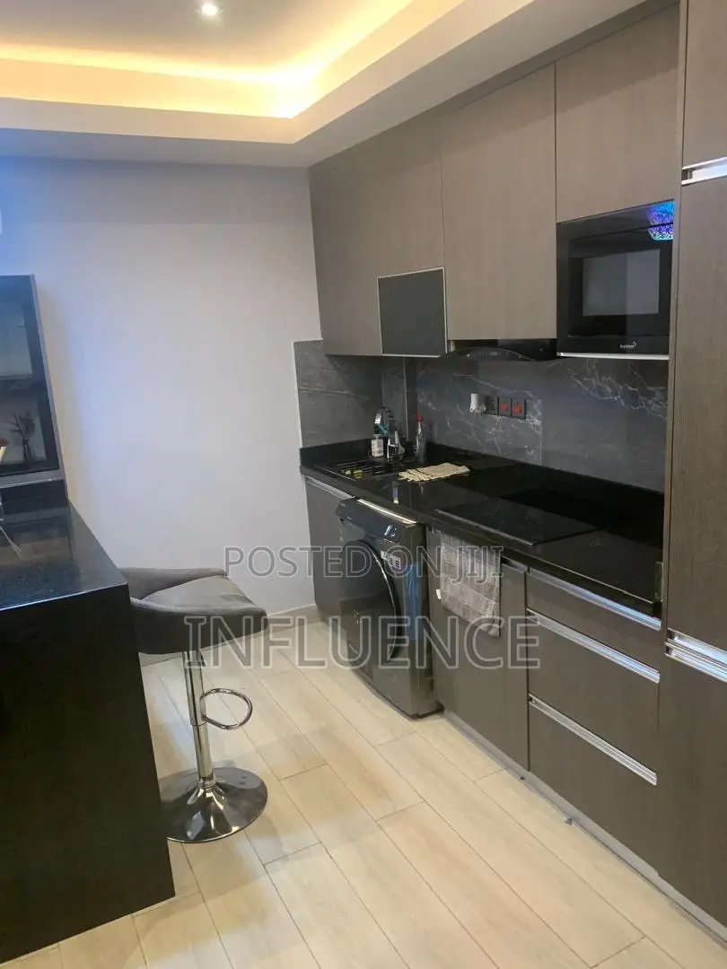 Furnished 1bdrm Apartment in American House Area, East Legon for rent