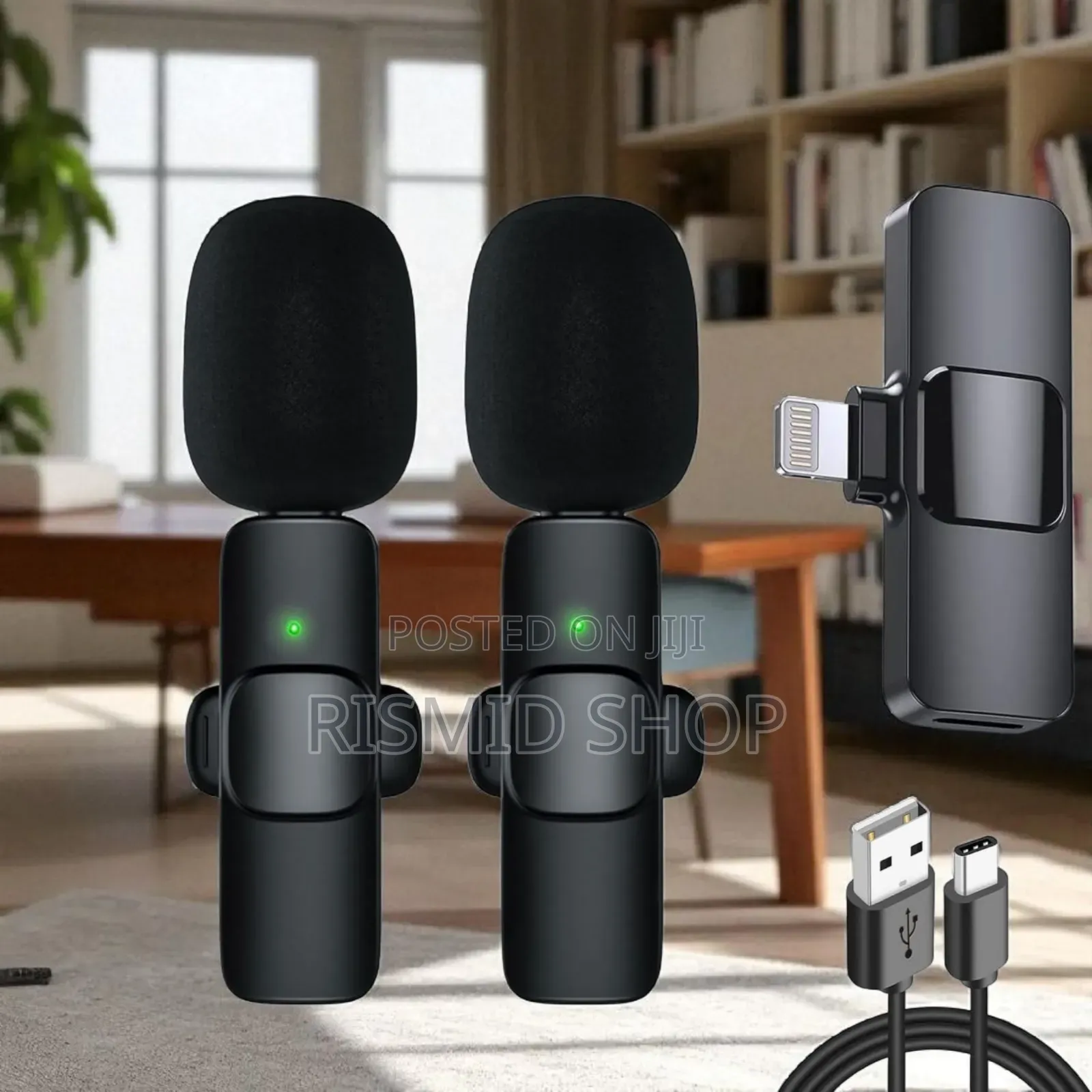 Wireless Microphone 2in1 (568843)