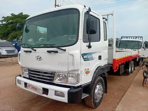 Hyundai Double Axle Truck