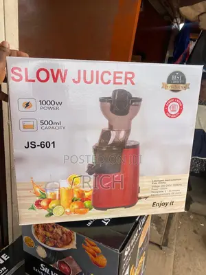 Powerful Slow Juicer at Wholesale Prices