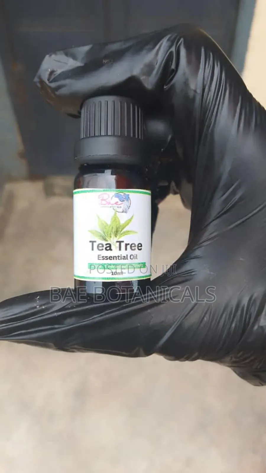 Clove Essential Oil (10ml)