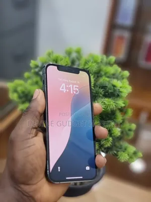Apple iPhone 12 Pro 256 GB Blue