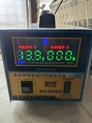 Smart Battery Charger 12/24v