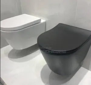 Conceal Water Closet _Hanging Wc