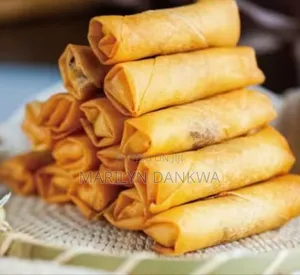 Sprink Roll and Samosa