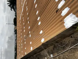Secure Your Roof With Waterproof Leakage Treatment