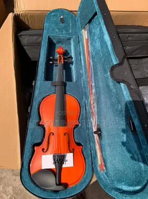 Givson/Olympic 4by4 Professional Violin