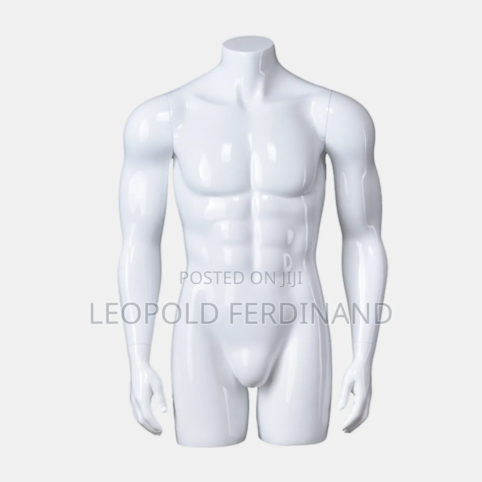 Male Thorso Mannequin