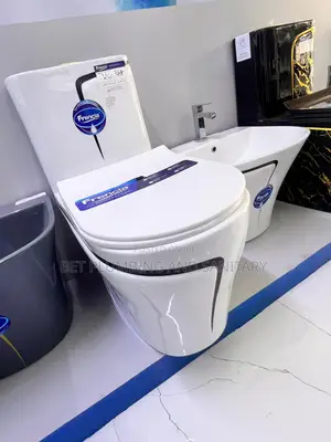 Water Closet(Wc)With Combined Hunging Hand_wash Basin Complete