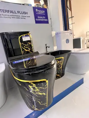 Black and Gold Water Closet(Wc) With Hunging Combine Hand Wash Basin