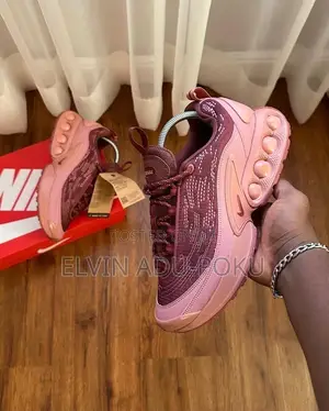 Nike Air Max Dn “ Calm Wine”