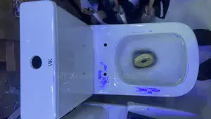 Slim Tank Water Closet_wc_curved Wc_complete