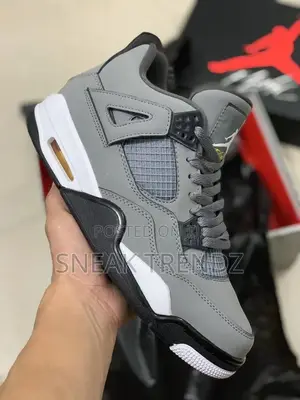 Air Jordan R4 Org Cool Grey